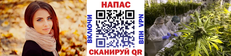 Бошки Шишки Bruce Banner  Горячеводский 